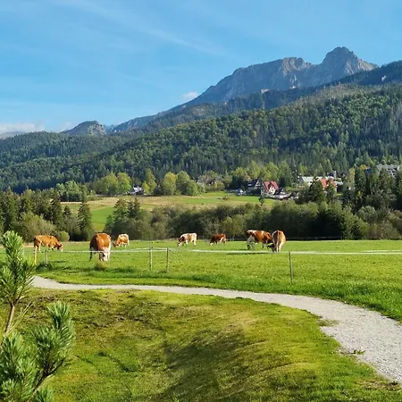 Appartamento Zoom Na Giewont By Concept Podhale Kościelisko
